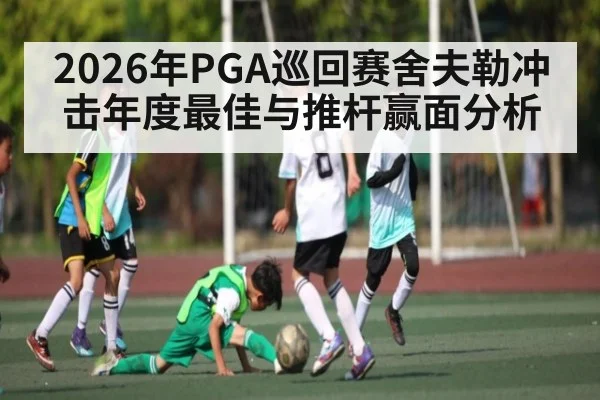 2026年PGA巡回赛舍夫勒冲击年度最佳与推杆赢面分析 - jiuyou